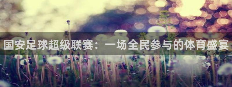 国安足球超级联赛：一场全民参与的体育盛宴